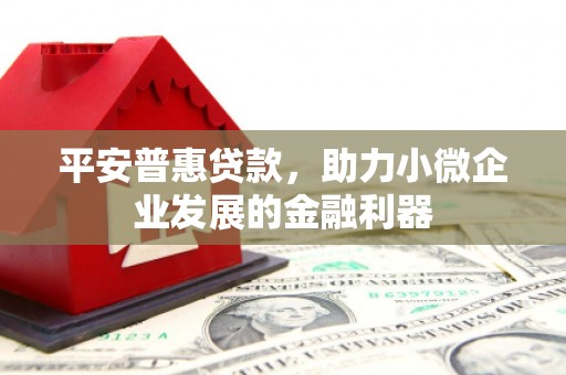 商州平安普惠贷款，助力小微企业发展的金融利器