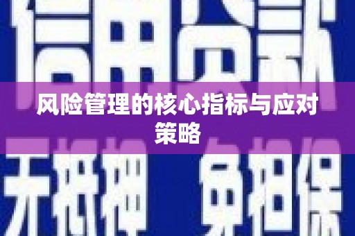 商州风险管理的核心指标与应对策略
