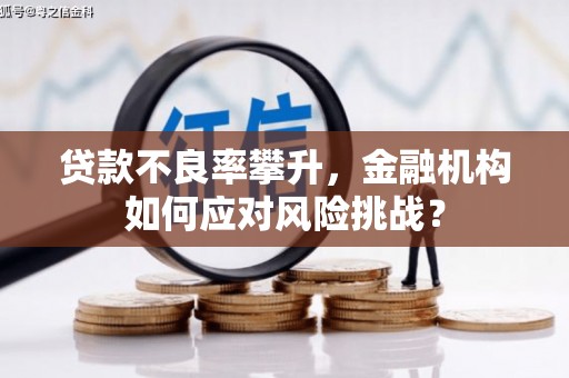 商州贷款不良率攀升，金融机构如何应对风险挑战？