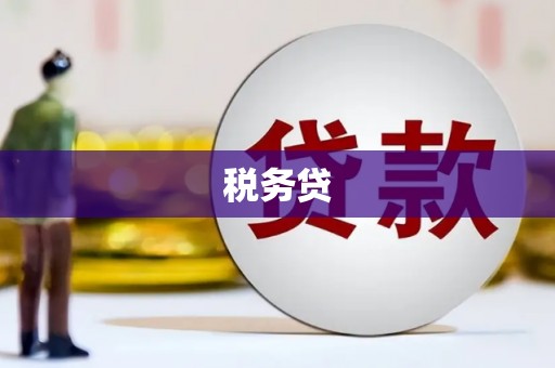 商州税务贷