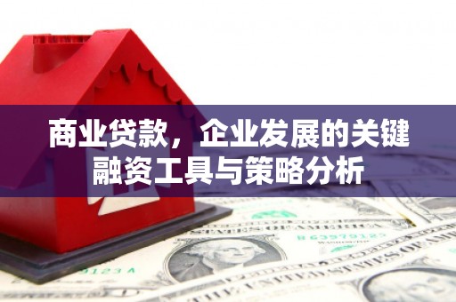 商州商业贷款，企业发展的关键融资工具与策略分析