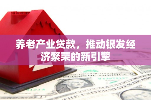 商州养老产业贷款，推动银发经济繁荣的新引擎