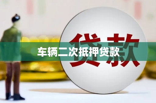 商州车辆二次抵押贷款