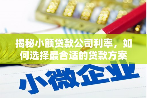 商州揭秘小额贷款公司利率，如何选择最合适的贷款方案