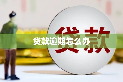 商州贷款逾期怎么办