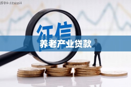 商州养老产业贷款