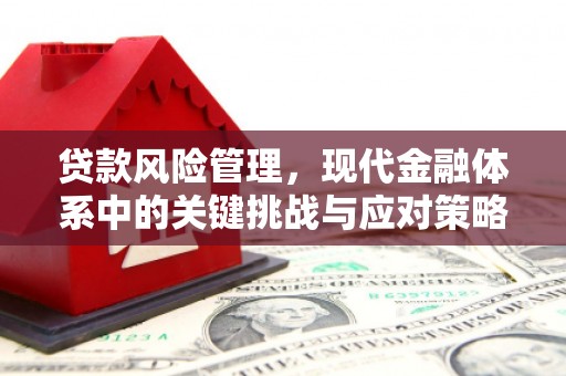 商州贷款风险管理，现代金融体系中的关键挑战与应对策略