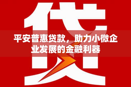 商州平安普惠贷款，助力小微企业发展的金融利器