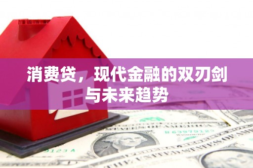 商州消费贷，现代金融的双刃剑与未来趋势