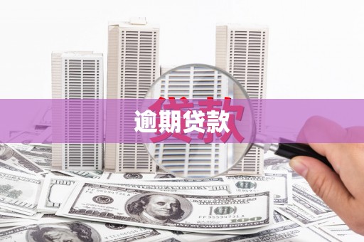 商州逾期贷款