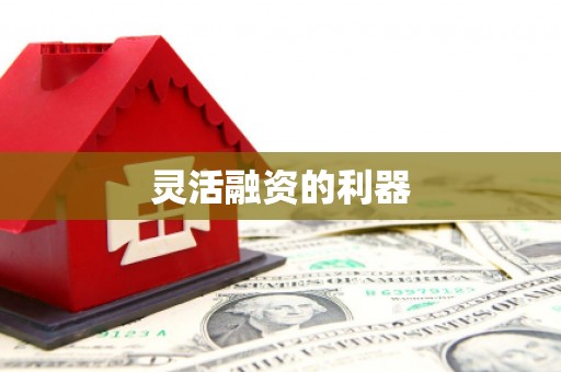 商州灵活融资的利器
