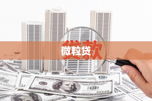 商州微粒贷