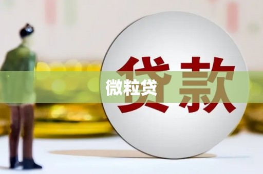 商州微粒贷