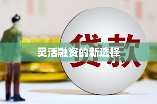 商州灵活融资的新选择