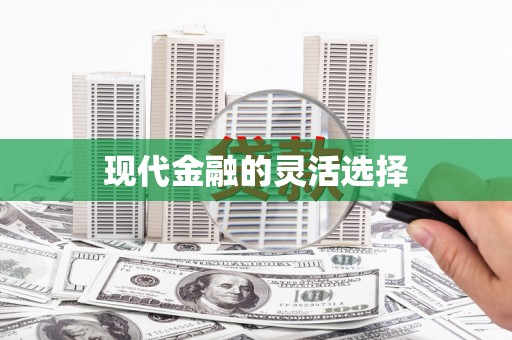 商州现代金融的灵活选择