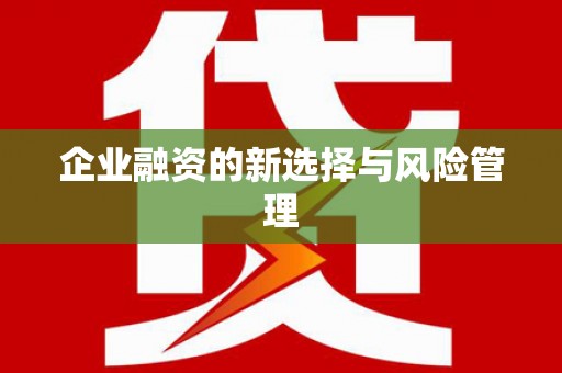 商州企业融资的新选择与风险管理