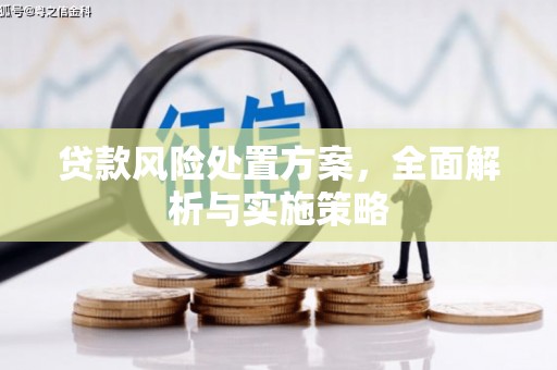 商州贷款风险处置方案，全面解析与实施策略