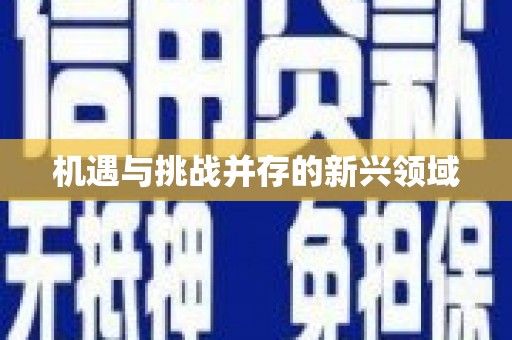 商州机遇与挑战并存的新兴领域