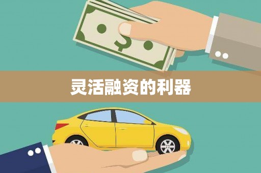 商州灵活融资的利器