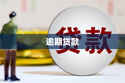 商州逾期贷款