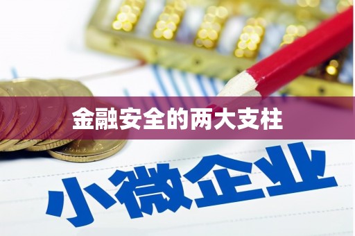 商州金融安全的两大支柱