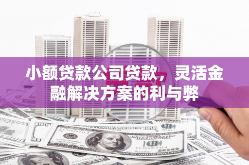 商州小额贷款公司贷款，灵活金融解决方案的利与弊
